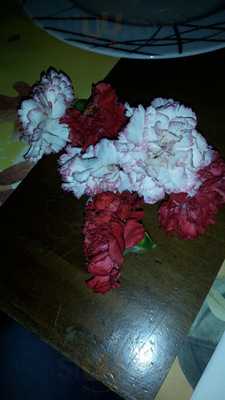 Καφενείον Ελλάς