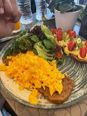 Απολλώνιον