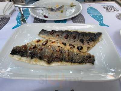 Μπαρμπουνάκι Μητροπόλεως