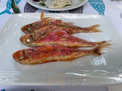 Μπαρμπουνάκι Μητροπόλεως