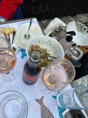 Μπαρμπουνάκι Μητροπόλεως