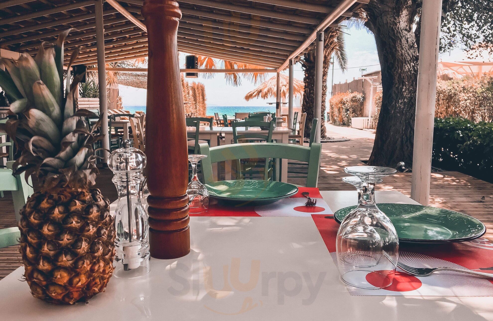 Coconut Life On A Beach