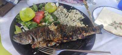 Ο Μυροβόλος