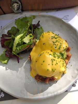 Beauty Killed The Beast