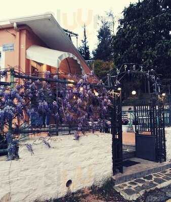 Ψαροταβέρνα ''Η Δροσιά''