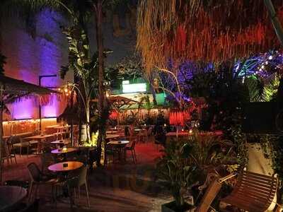 The Place By Cocomat Bike