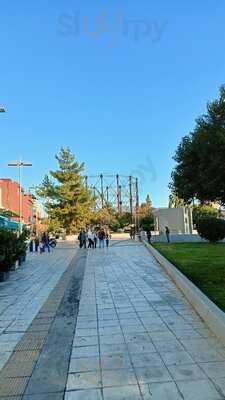 The Place By Cocomat Bike