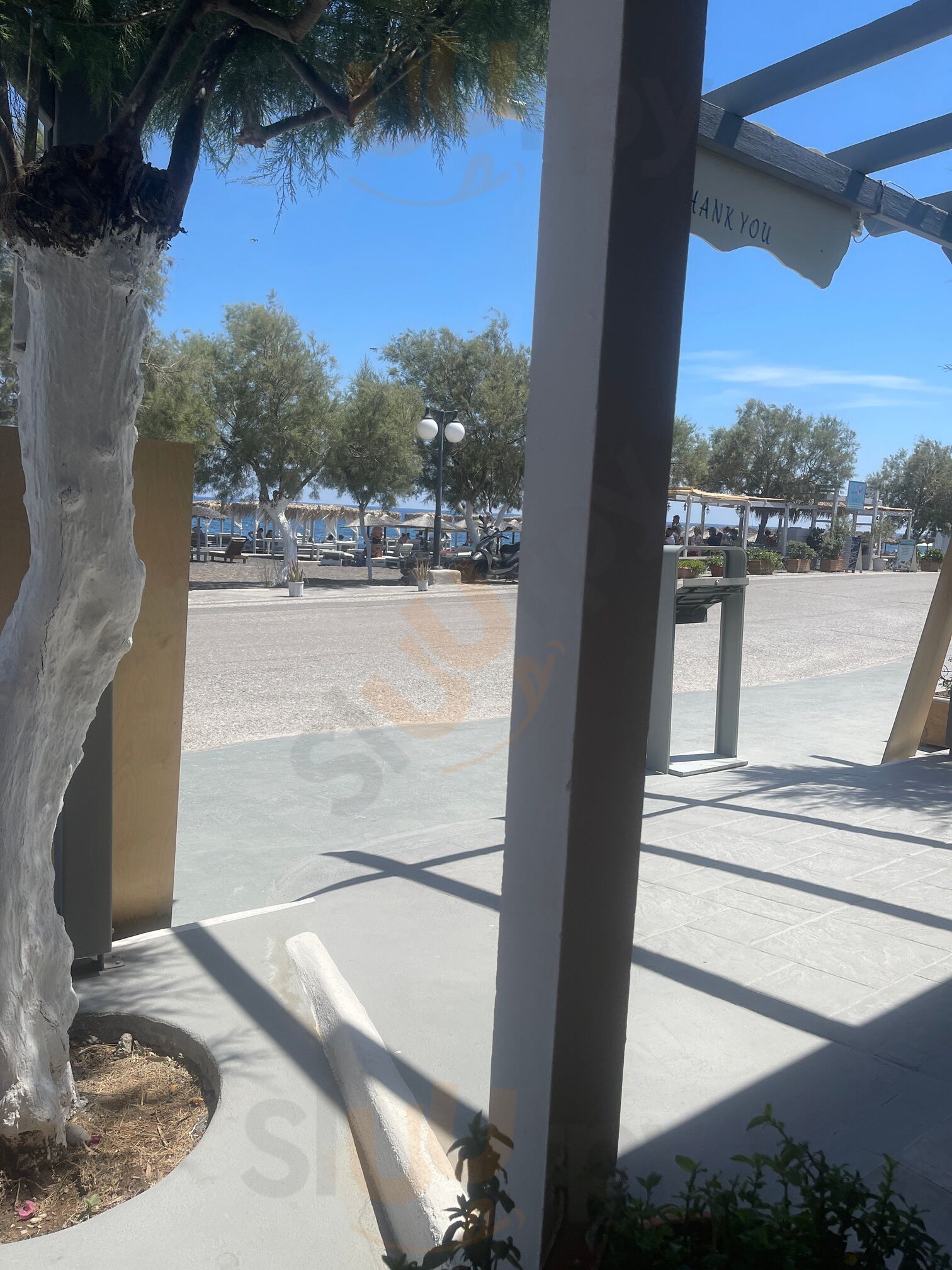 Αλκυονίδα