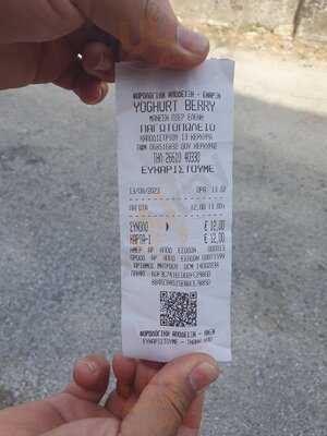 Yogurt Berry