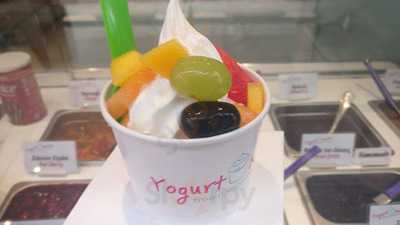 Yogurt Berry