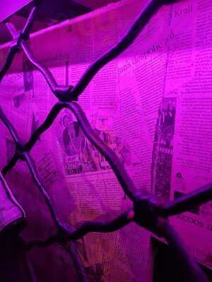 Εφημερίδα Ath