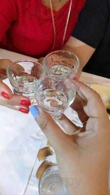 Ο Τζίτζικας κι ο Μέρμηγκας