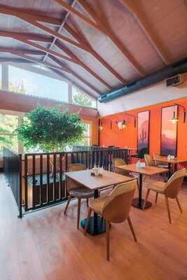 Poco Loco Cantina-cocktaileria Mexicana