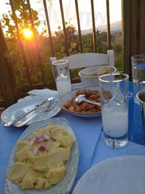 Διοσκουροι