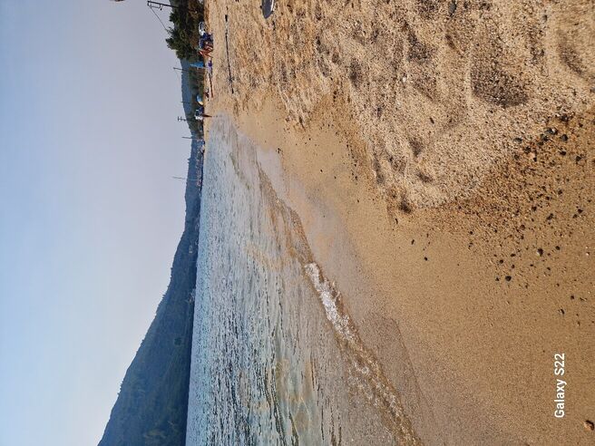 Porto Libre