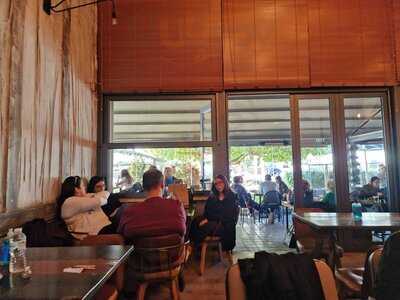 Brokies Allday Moodbar