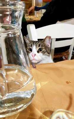 Όλα στην Κόλλα