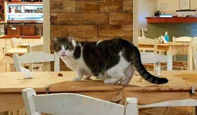 Όλα στην Κόλλα