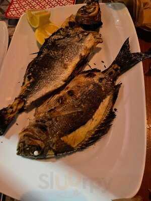 Ο Τυπογράφος