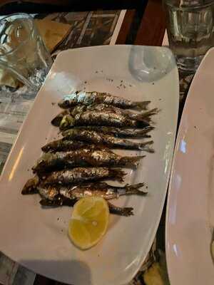 Ο Τυπογράφος