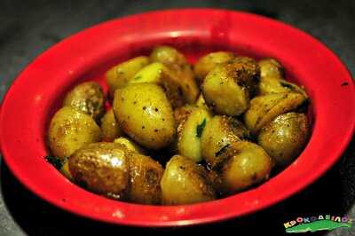 Κροκοδειλος