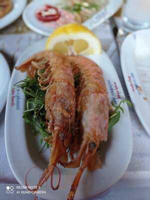 Τσιπουρομανια