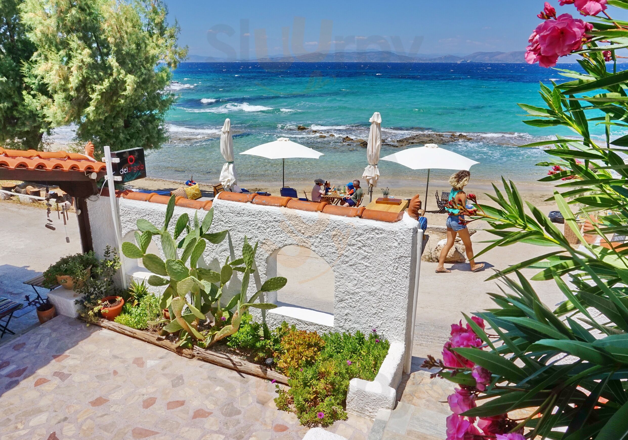 The Beachhouse Beach Bar