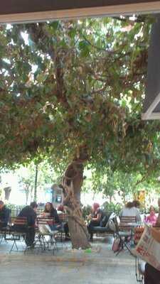 Καφέ Κυδαθηναίων