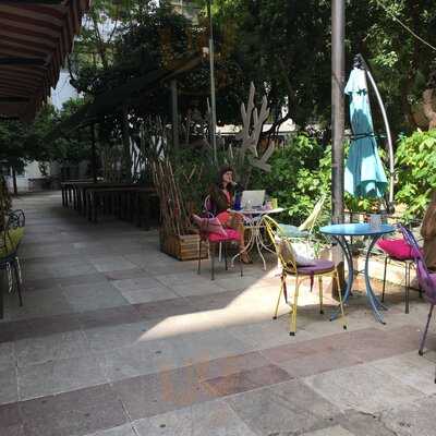 Petite Fleur Παγκράτι