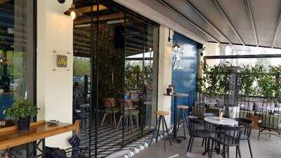 Shelter Coffee Store