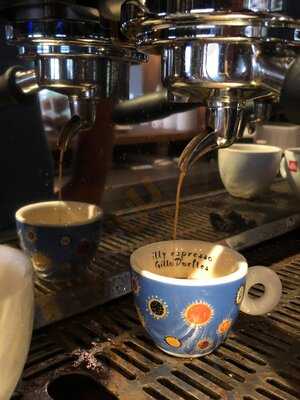 Shelter Coffee Store