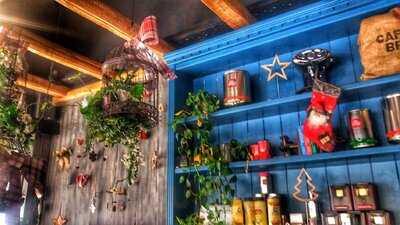 Shelter Coffee Store