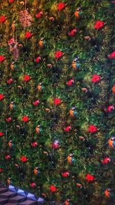 Shelter Coffee Store