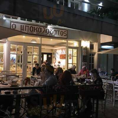 Μπακαλόγατος