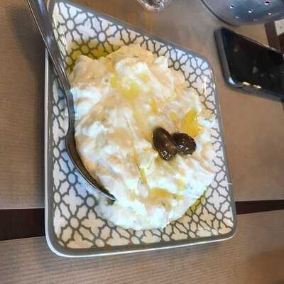 Ο Φιλος Και Ο Κουκος