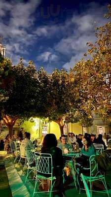 Μπλε Παπαγάλος