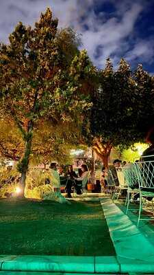 Μπλε Παπαγάλος