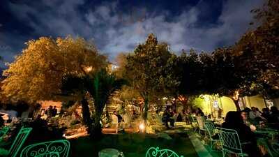 Μπλε Παπαγάλος