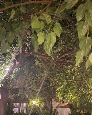 Ταβέρνα Καραβίτης