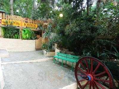 Saloon Piano Bar Restaurant