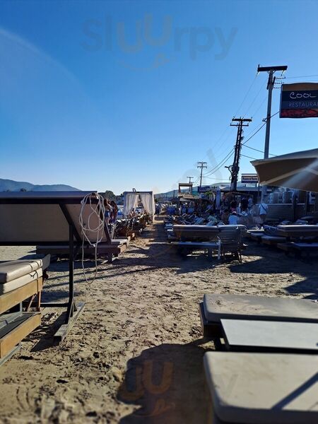 Cool Peppers Restaurant-beach Bar