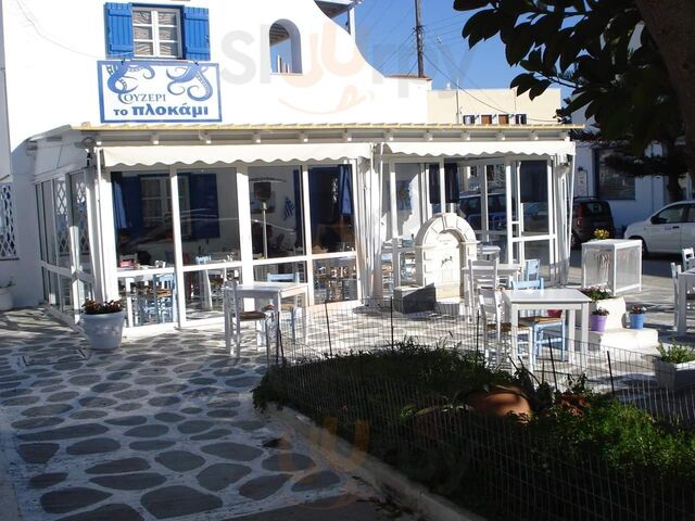 Το Πλοκάμι