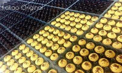 Κakao Original