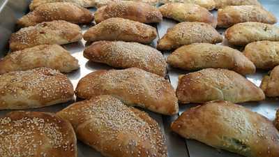 Ρίζος Ελαία