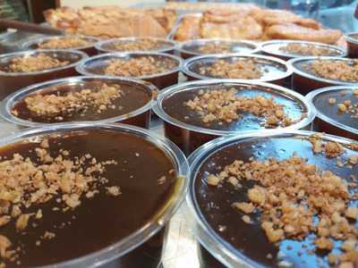 Ρίζος Ελαία