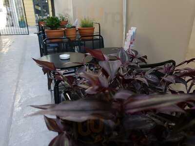 Σκαντζόχοιρος