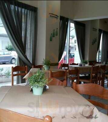 Πινωράκιδες