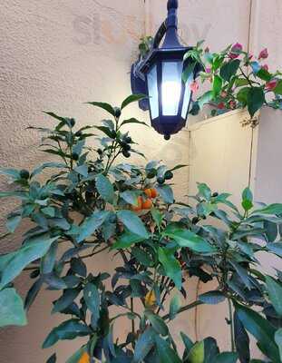 Τα Ψαράκια της Γαρίτσας