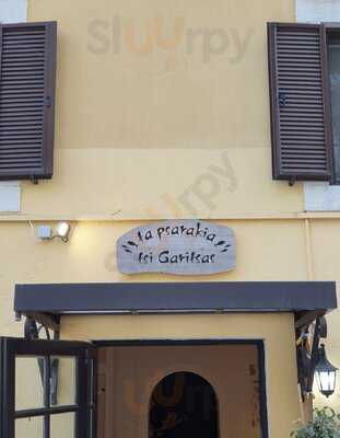 Τα Ψαράκια της Γαρίτσας