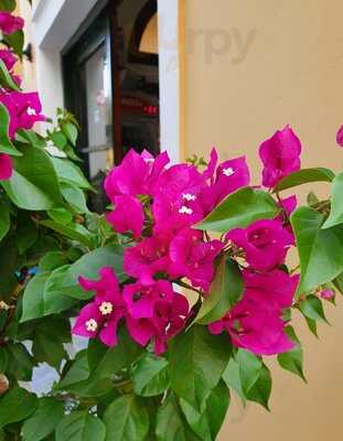 Τα Ψαράκια της Γαρίτσας